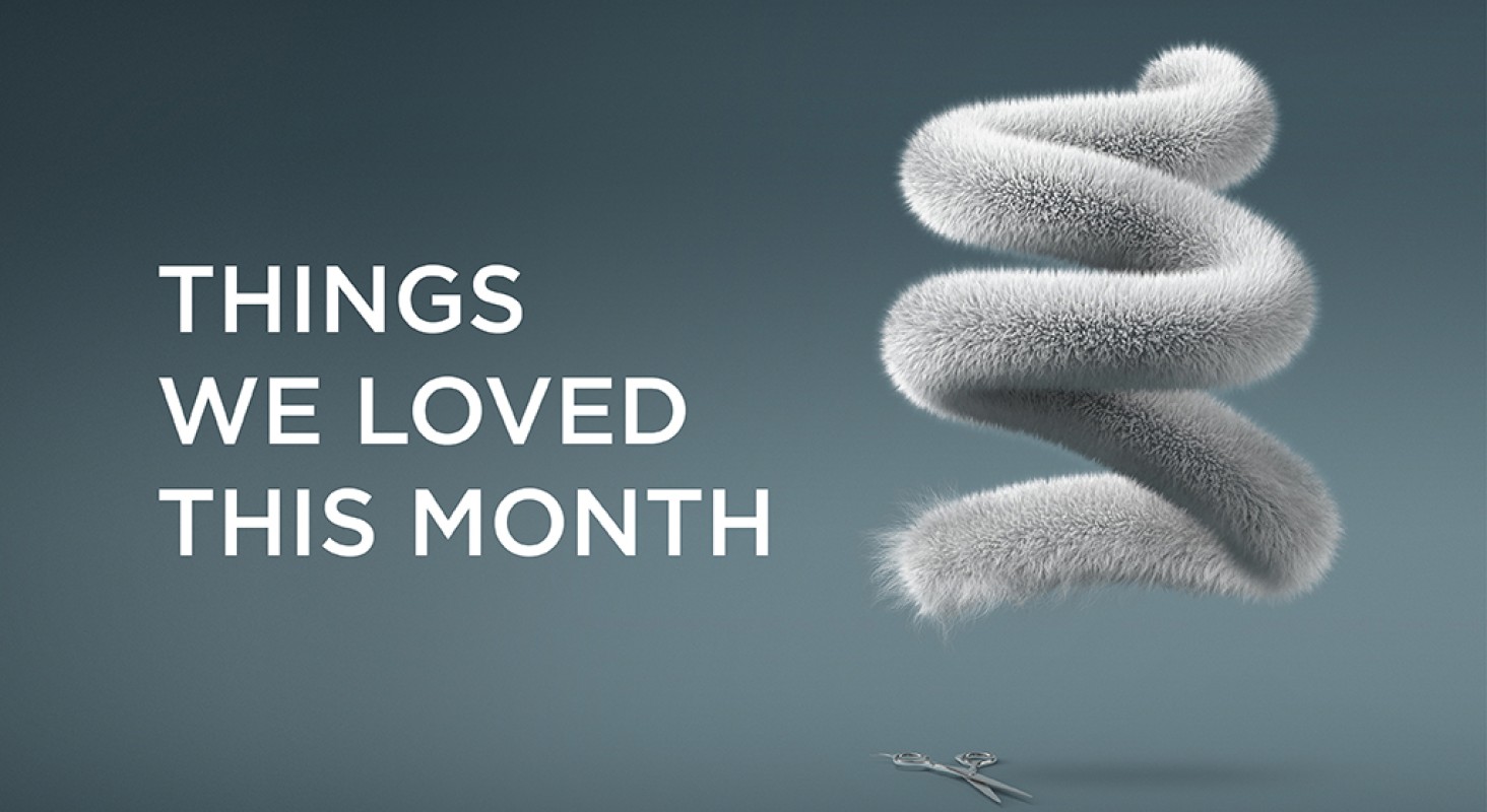 Things we loved this month – January