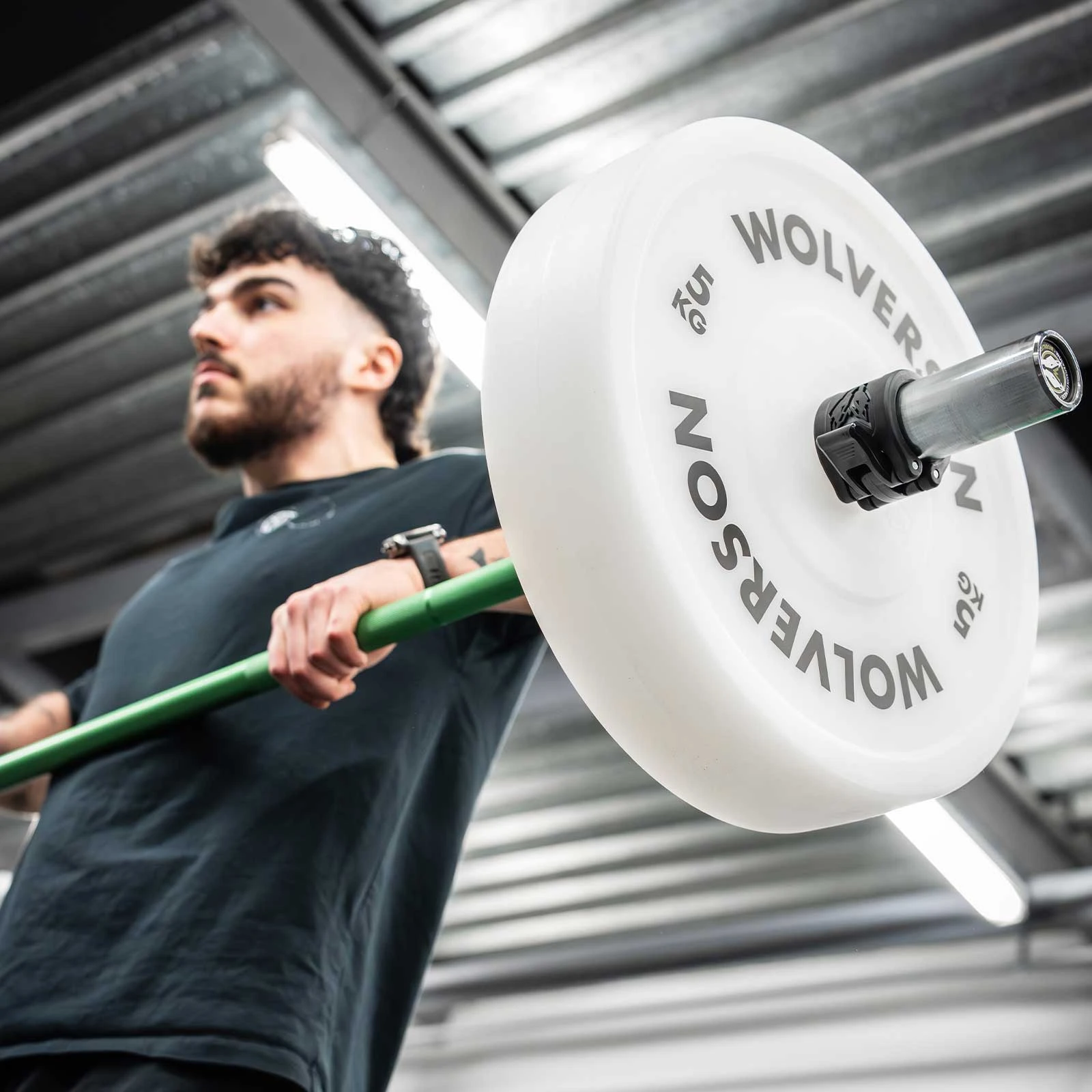 wolverson2.jpg